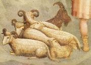 Detail of Birth of Christ GIOTTINO (Giotto di Stefano)
